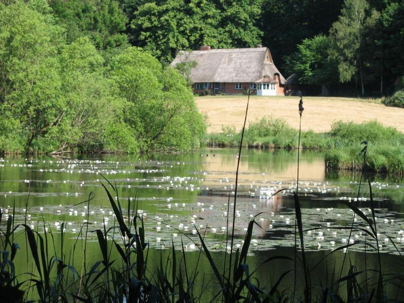 Landhaus Nuetschau Bad Oldesloe Bagian luar foto